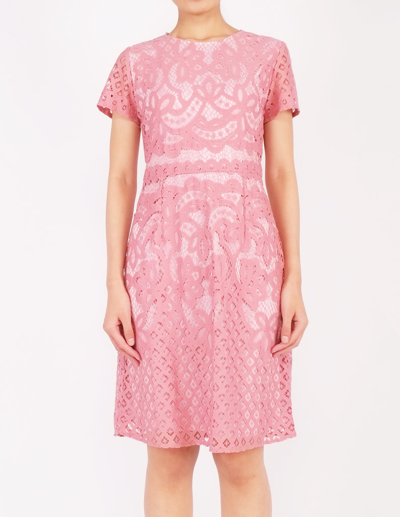 Ellie Lace Sheath Dress (Pink)