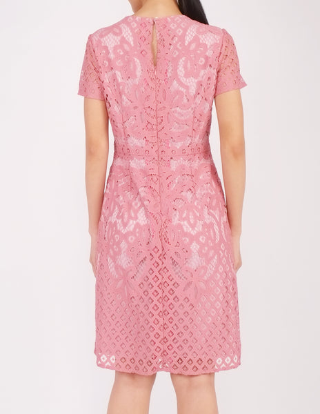 Ellie Lace Sheath Dress (Pink)