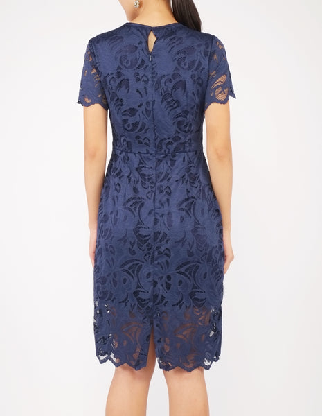 Elina Lace Sheath Dress (Navy)