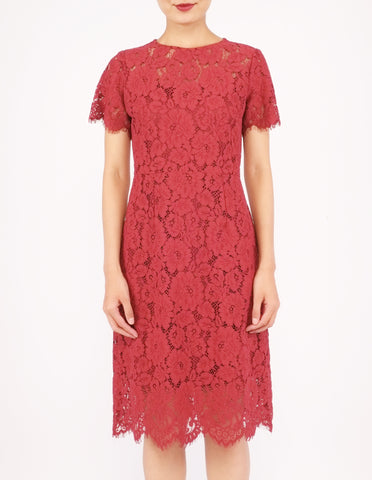 Elodie Lace Sheath Dress (Red)